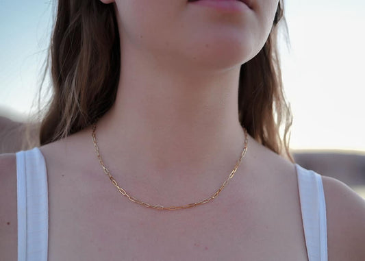 Pretty Paperclip Necklace image 0